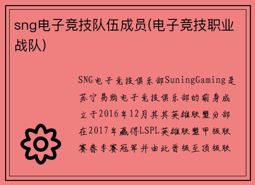 sng电子竞技队伍成员(电子竞技职业战队)